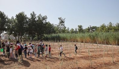 Büyükşehir Belediyesi 100. Yıl Hatıra Ormanı oluşturdu