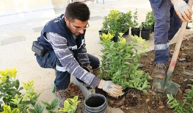 Büyükşehir’den Ulaşlı Camii’ne estetik meydan