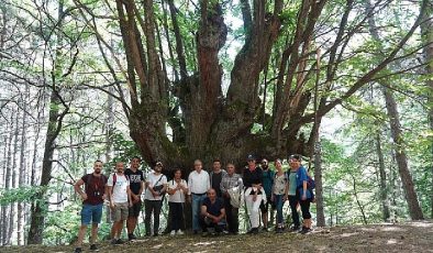 Efeler Yolu Projesine Memleketler arası Ödül