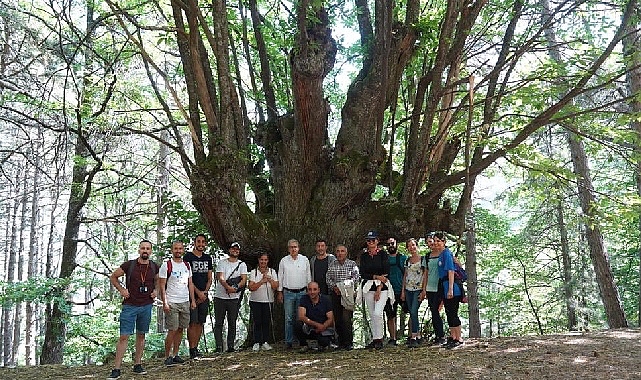 Efeler Yolu Projesine Memleketler arası Ödül