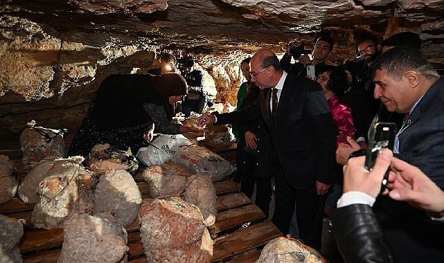 Peynir Tulumundan Birinci Hasat Programı Gerçekleştirildi