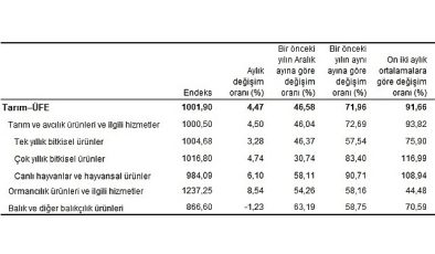 Tarım eserleri üretici fiyat endeksi (Tarım-ÜFE) yıllık yüzde 71,96, aylık yüzde 4,47 arttı