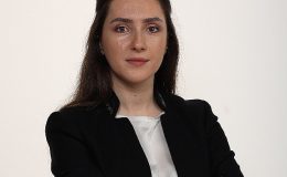 Yıldız Entegre, Orman Eserleri Dalının Doruğunda