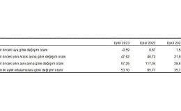Yurt Dışı Üretici Fiyat Endeksi (YD-ÜFE) yıllık yüzde 57,25 arttı, aylık yüzde 0,59 azaldı