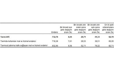 Ziraî girdi fiyat endeksi (Tarım-GFE) yıllık yüzde 41,33, aylık yüzde 6,94 arttı