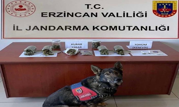 ERZİNCAN’DA 18 KİŞİ GÖZALTINA ALINDI…