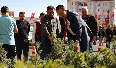 Cumhuriyet’in 100. Yılında 100 bin fidan dağıtıldı