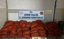 Enez’de kaçak kum midyesi yakalandı