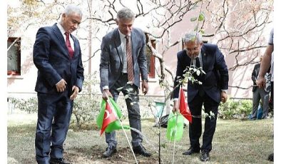 İsviçre büyükelçisi’nden Ankara üniversitesine 100.yıl fidanı