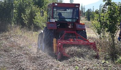 Selçuklu Belediyesi ziraî üretime katkı sağlamaya devam ediyor