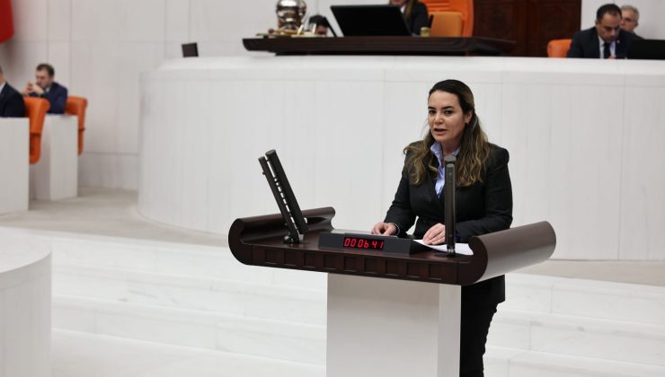 TÜRKEŞ;AİLE BAKANLIĞI BÜTÇESİ GÜN GİTTİKÇE ERİYOR